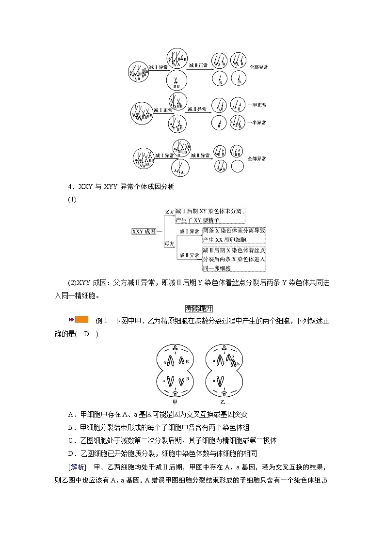 2021新高考生物人教版一轮学案：难点加强专题（二）　细胞分裂与遗传变异的过程第2页