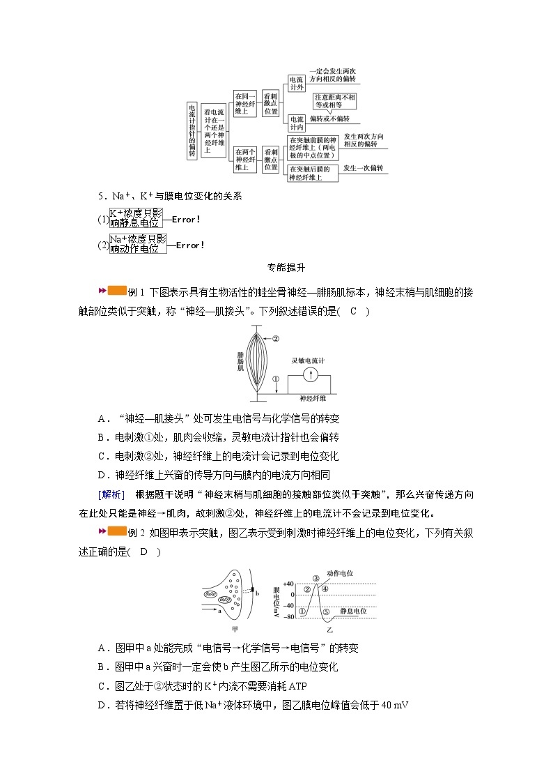 2021新高考生物人教版一轮学案：难点加强专题（四）　电位测量与电流计指针偏转问题02