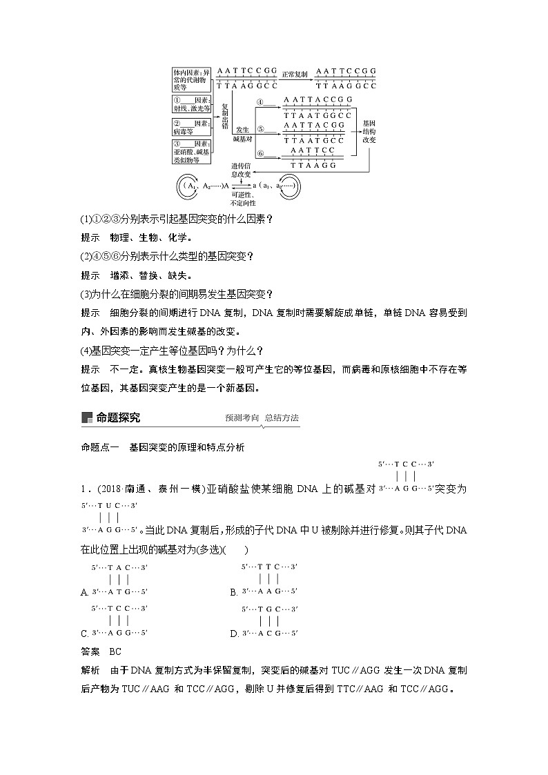 2020版生物新导学大一轮苏教讲义：第七单元　生物的变异、育种和进化第21讲第3页