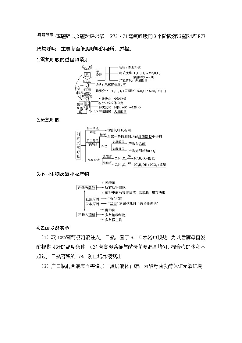 2020版生物浙江高考选考一轮复习讲义：第6讲细胞呼吸第3页