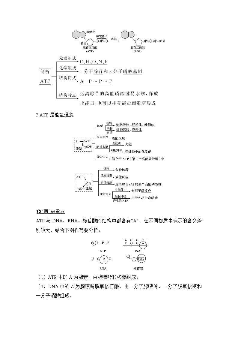 2020版生物浙江高考选考一轮复习讲义：第4讲ATP与酶03