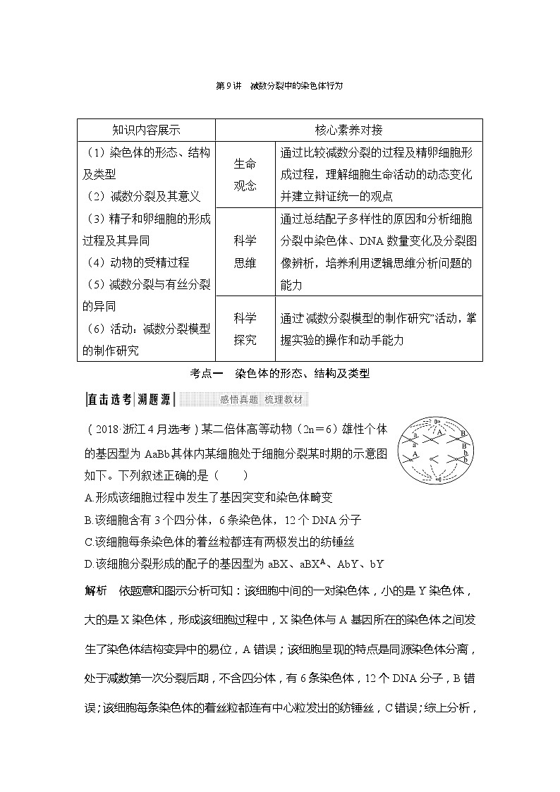 2020版生物浙江高考选考一轮复习讲义：第9讲减数分裂中的染色体行为第1页