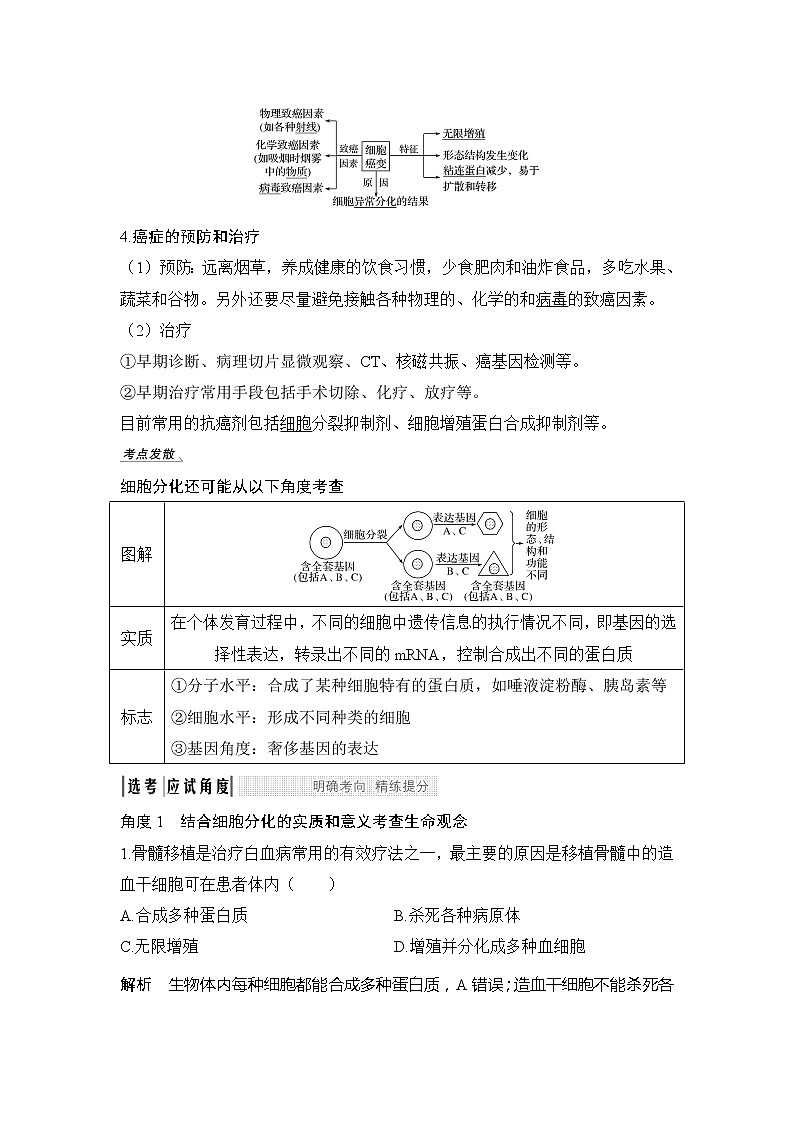 2020版生物浙江高考选考一轮复习讲义：第10讲细胞的分化、衰老和凋亡第3页