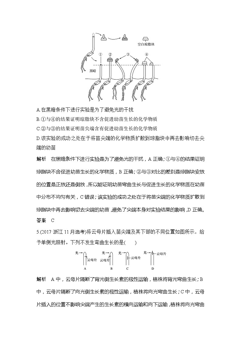 2020版生物浙江高考选考一轮复习讲义：第20讲植物生命活动的调节第3页