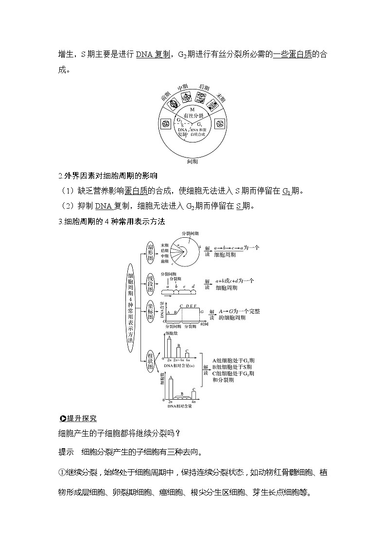 2020版生物浙江高考选考一轮复习讲义：第8讲细胞的增殖第3页