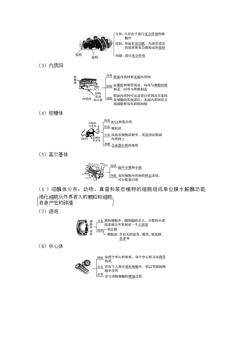 2020版生物浙江高考选考一轮复习讲义：第3讲细胞质、细胞核第3页