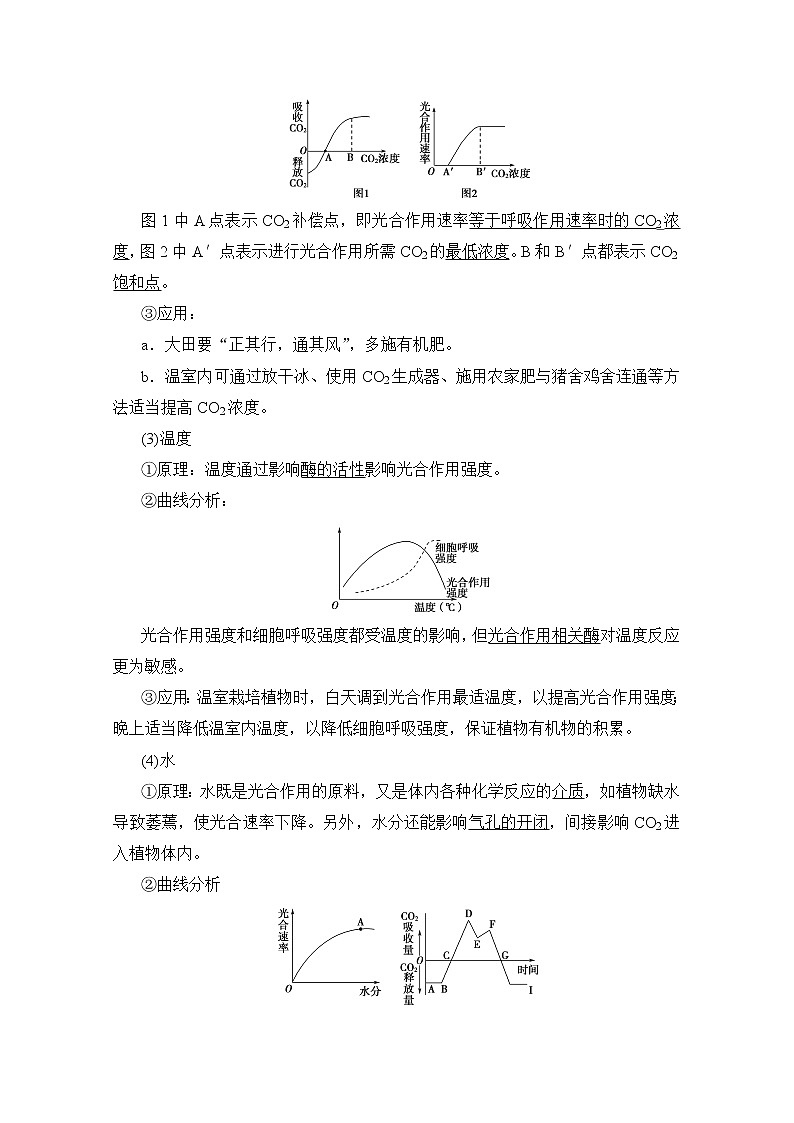 2020版新一线高考生物（人教版）一轮复习教学案：第3单元第4讲光合作用（Ⅱ）02