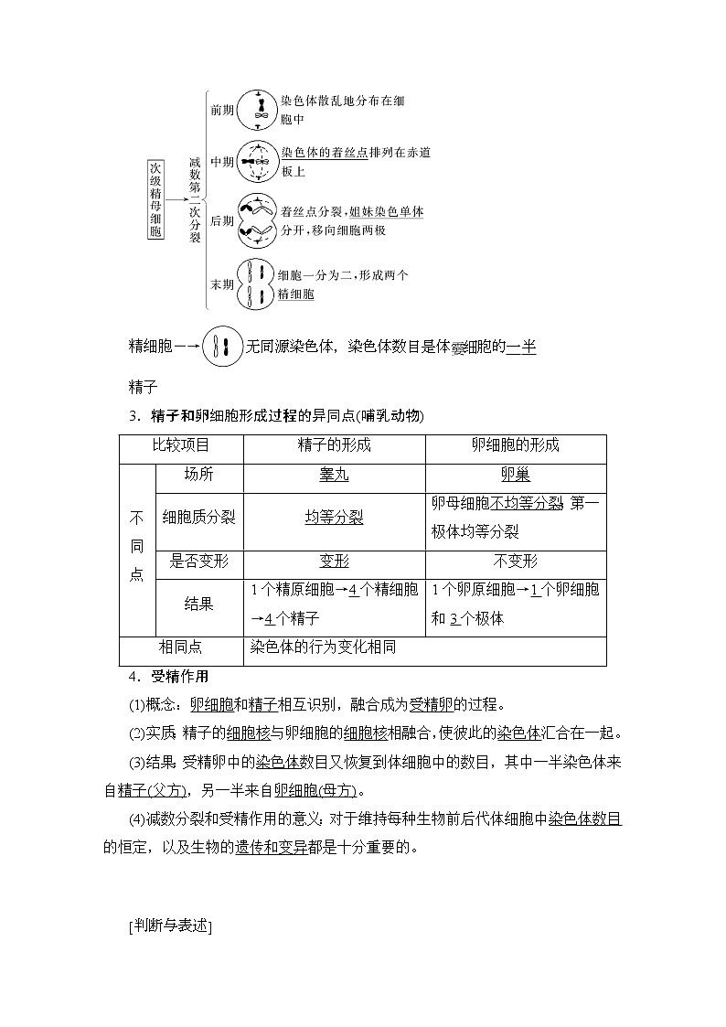 2020版新一线高考生物（人教版）一轮复习教学案：第4单元第2讲减数分裂和受精作用02