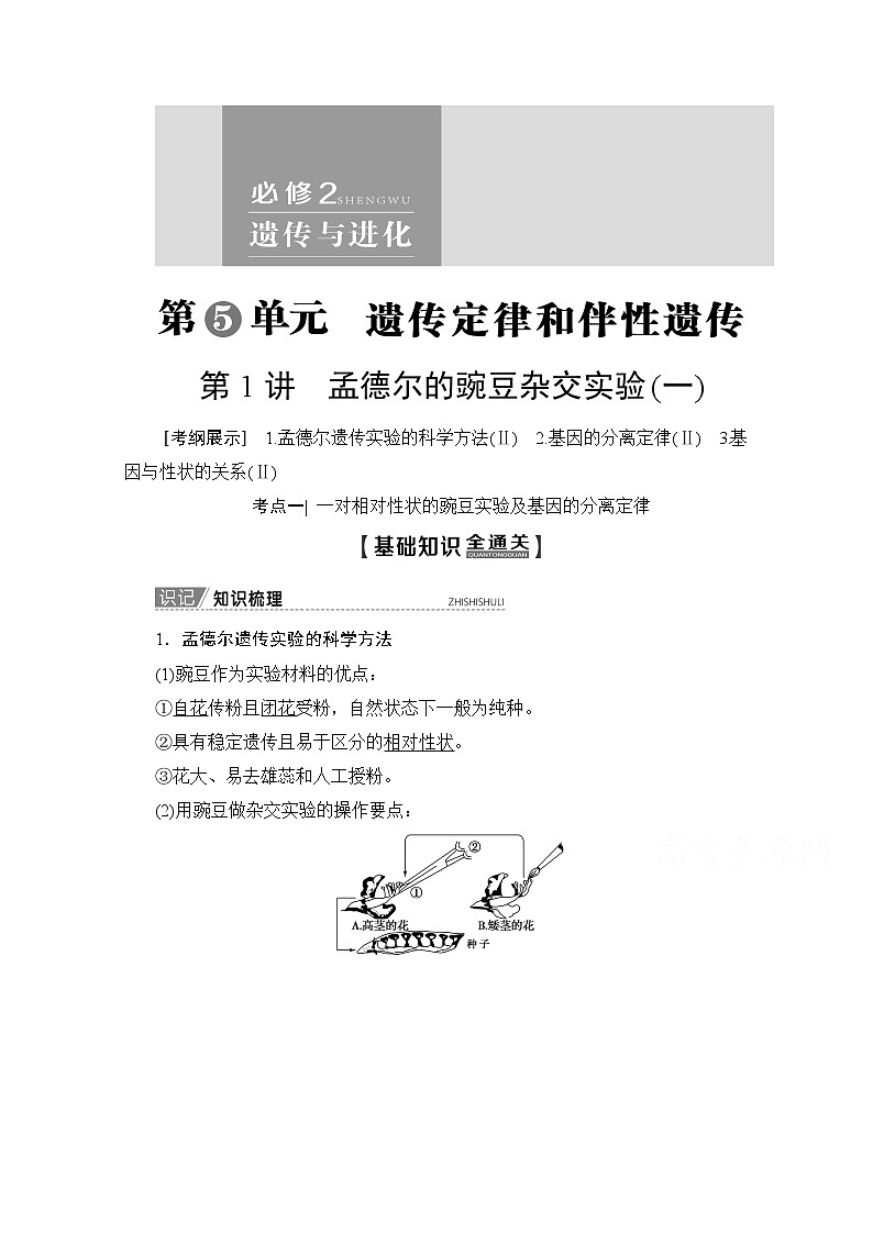 2020版新一线高考生物（人教版）一轮复习教学案：第5单元第1讲孟德尔的豌豆杂交实验（一）01