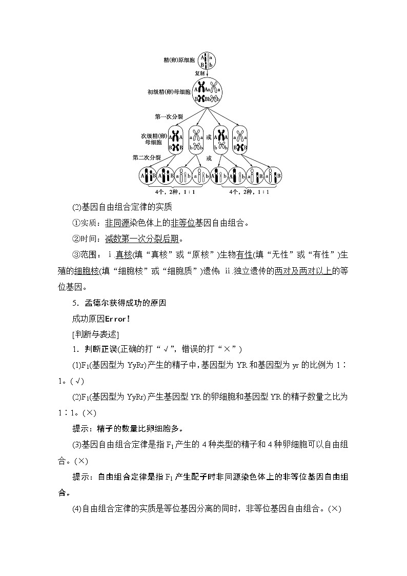2020版新一线高考生物（人教版）一轮复习教学案：第5单元第2讲孟德尔的豌豆杂交实验（二）03