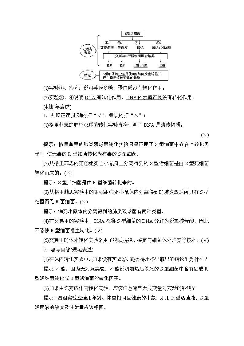 2020版新一线高考生物（人教版）一轮复习教学案：第6单元第1讲DNA是主要的遗传物质02