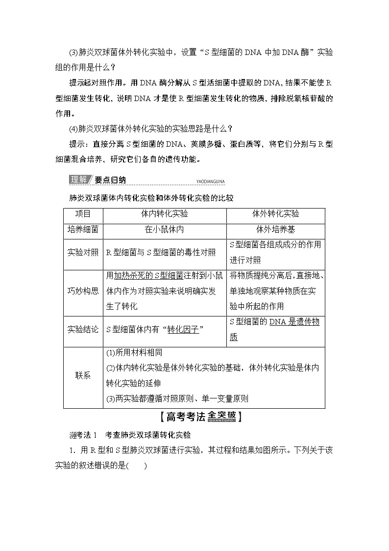 2020版新一线高考生物（人教版）一轮复习教学案：第6单元第1讲DNA是主要的遗传物质03