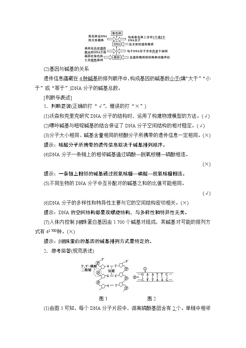 2020版新一线高考生物（人教版）一轮复习教学案：第6单元第2讲DNA分子的结构、复制与基因的本质02
