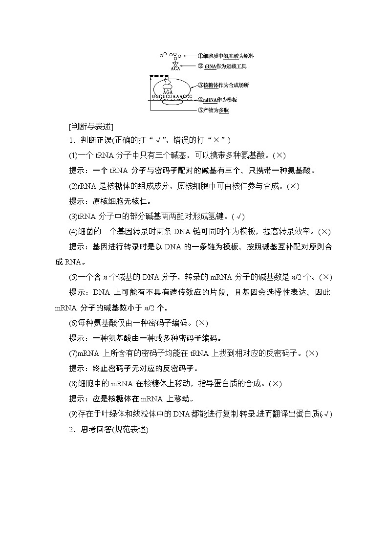 2020版新一线高考生物（人教版）一轮复习教学案：第6单元第3讲基因的表达03