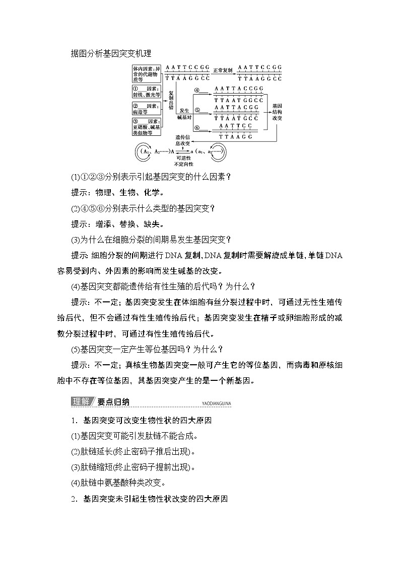 2020版新一线高考生物（人教版）一轮复习教学案：第7单元第1讲基因突变和基因重组03