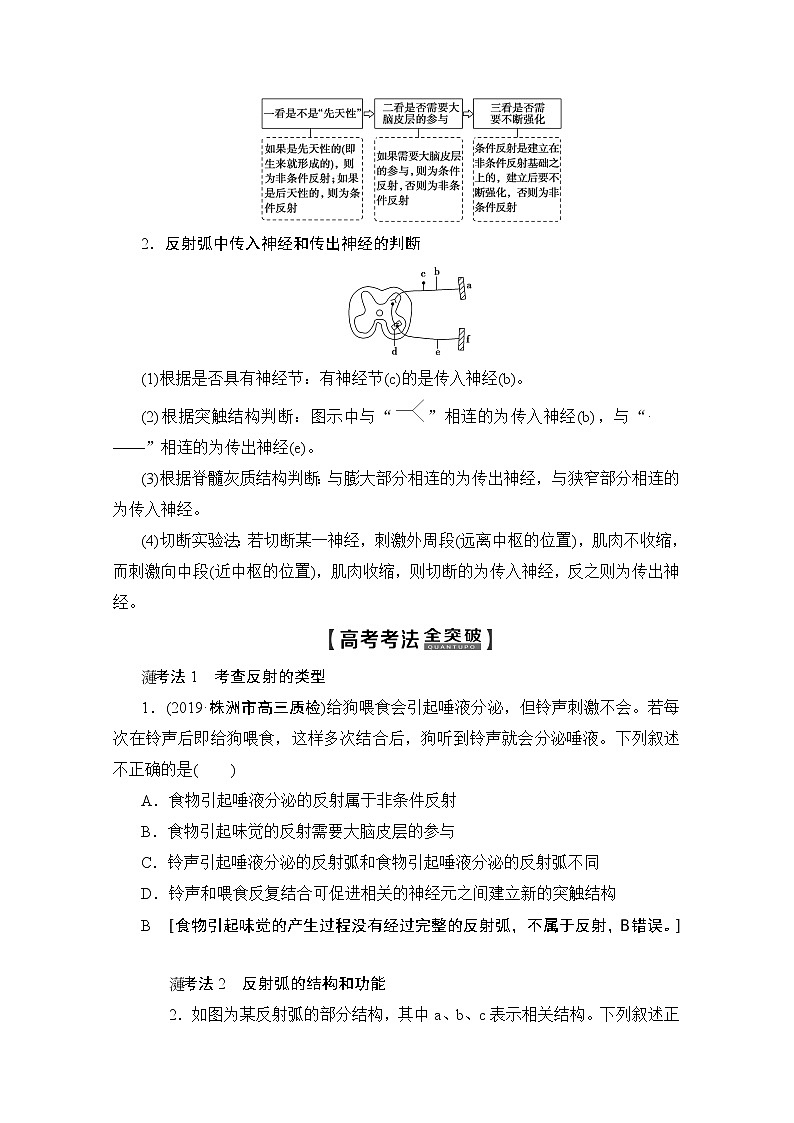 2020版新一线高考生物（人教版）一轮复习教学案：第8单元第2讲通过神经系统的调节03