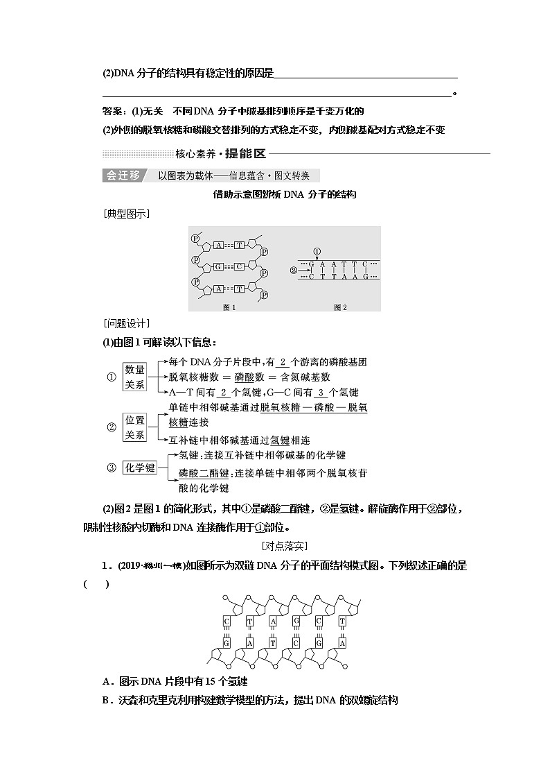 2020版高考一轮复习生物通用版学案：第六单元第二讲DNA分子的结构、复制与基因的本质03