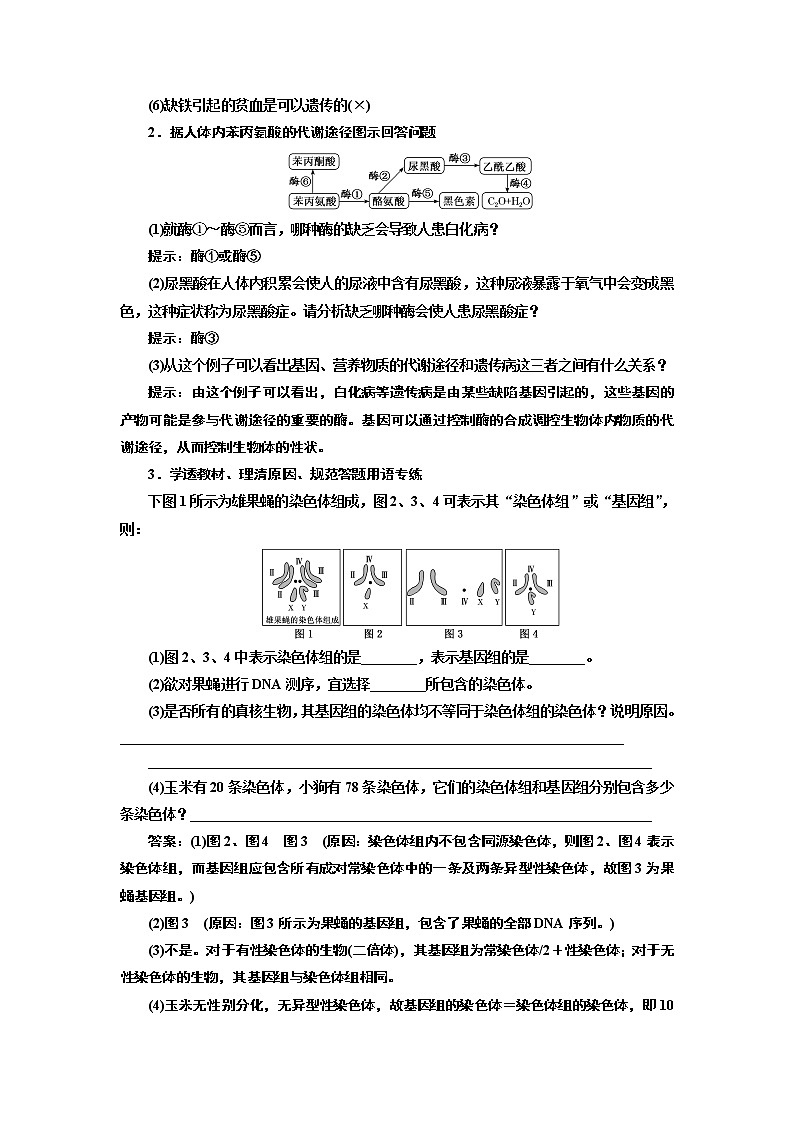 2020版高考一轮复习生物通用版学案：第五单元第四讲人类遗传病与基因定位03
