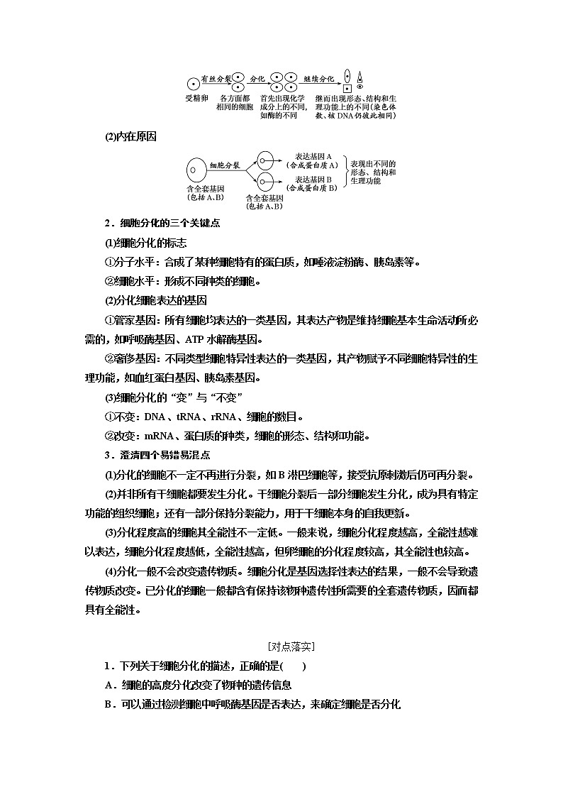 2020版高考一轮复习生物通用版学案：第四单元第四讲细胞的分化、衰老、凋亡和癌变03