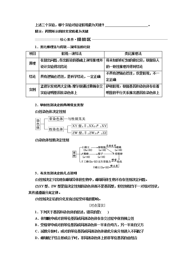 2020版高考一轮复习生物通用版学案：第五单元第三讲基因在染色体上和伴性遗传03
