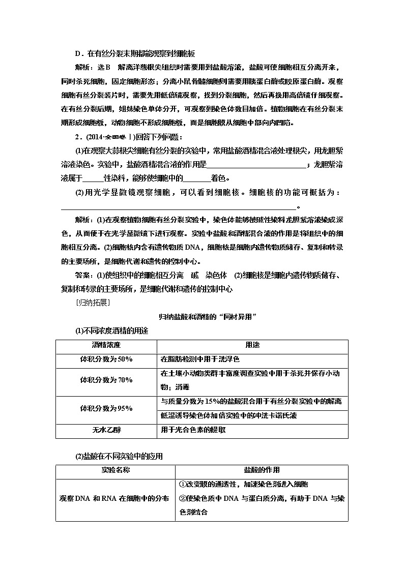 2020版高考一轮复习生物通用版学案：第四单元第二讲观察根尖分生组织细胞的有丝分裂（实验课）03