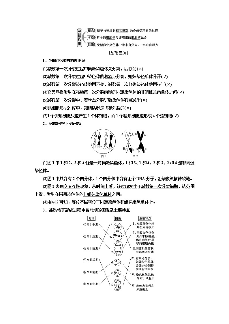 2020版高考一轮复习生物通用版学案：第四单元第三讲减数分裂与受精作用03