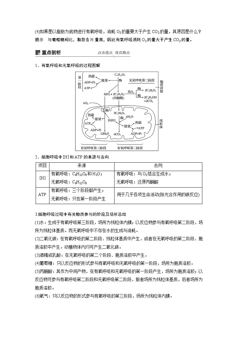 2020版生物新导学大一轮北师大版讲义：第三单元细胞的能量代谢第8讲第3页