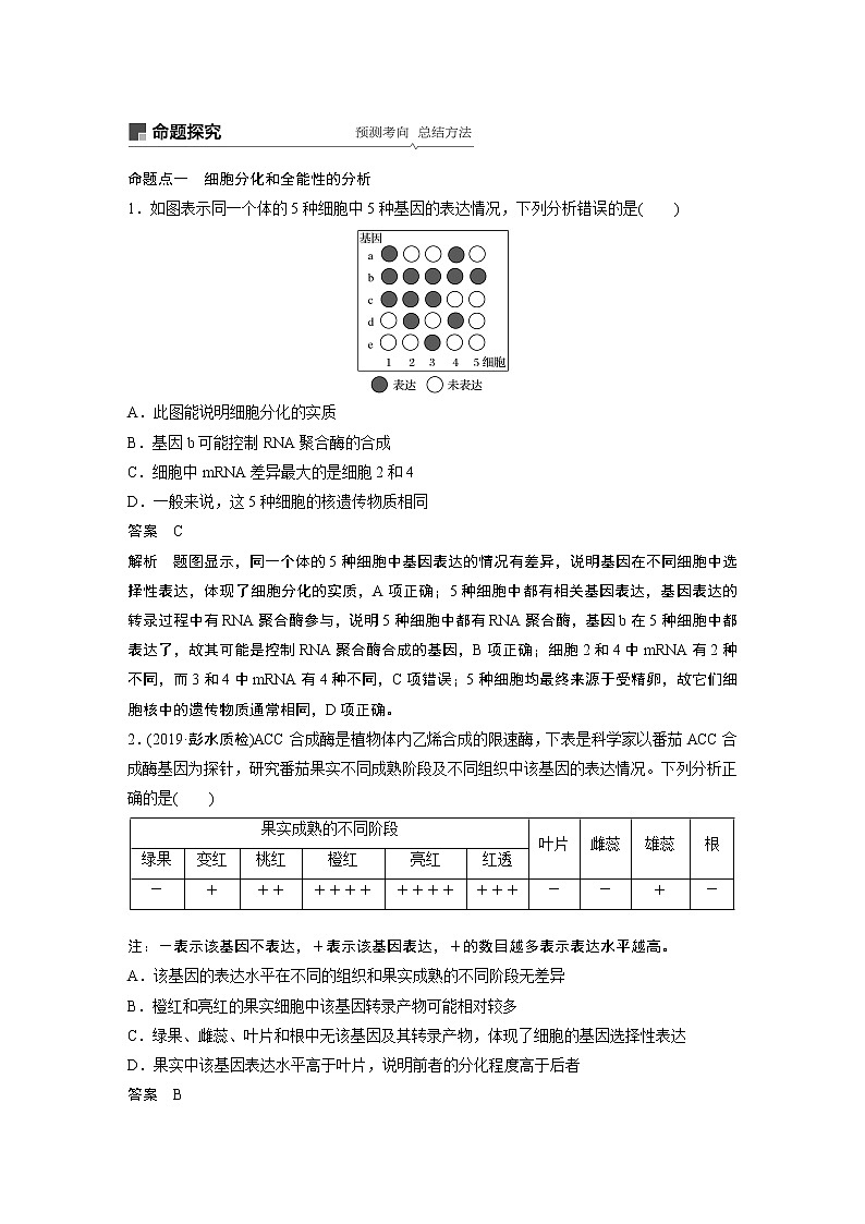 2020版生物新导学大一轮北师大版讲义：第四单元细胞的生命历程第13讲第3页