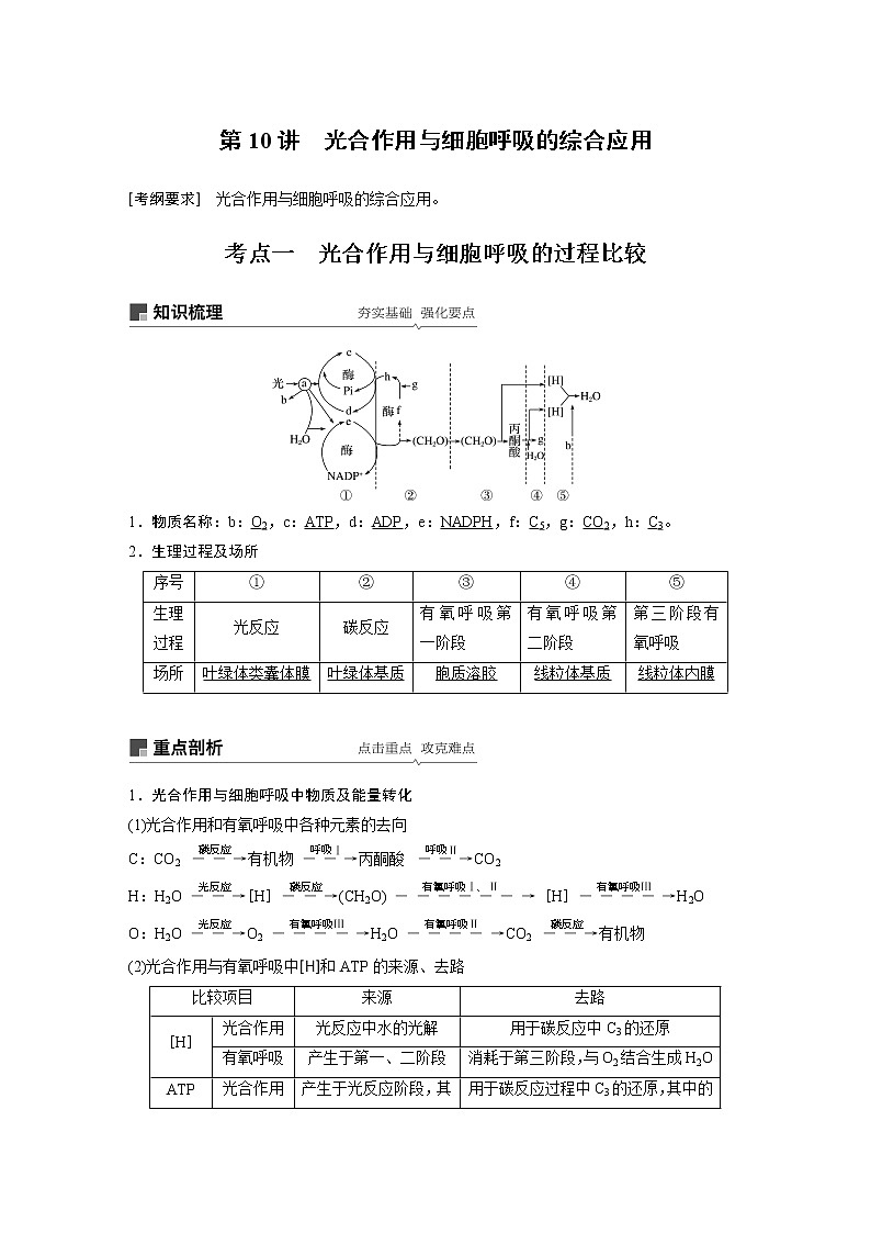 2020版生物新导学大一轮北师大版讲义：第三单元细胞的能量代谢第10讲第1页