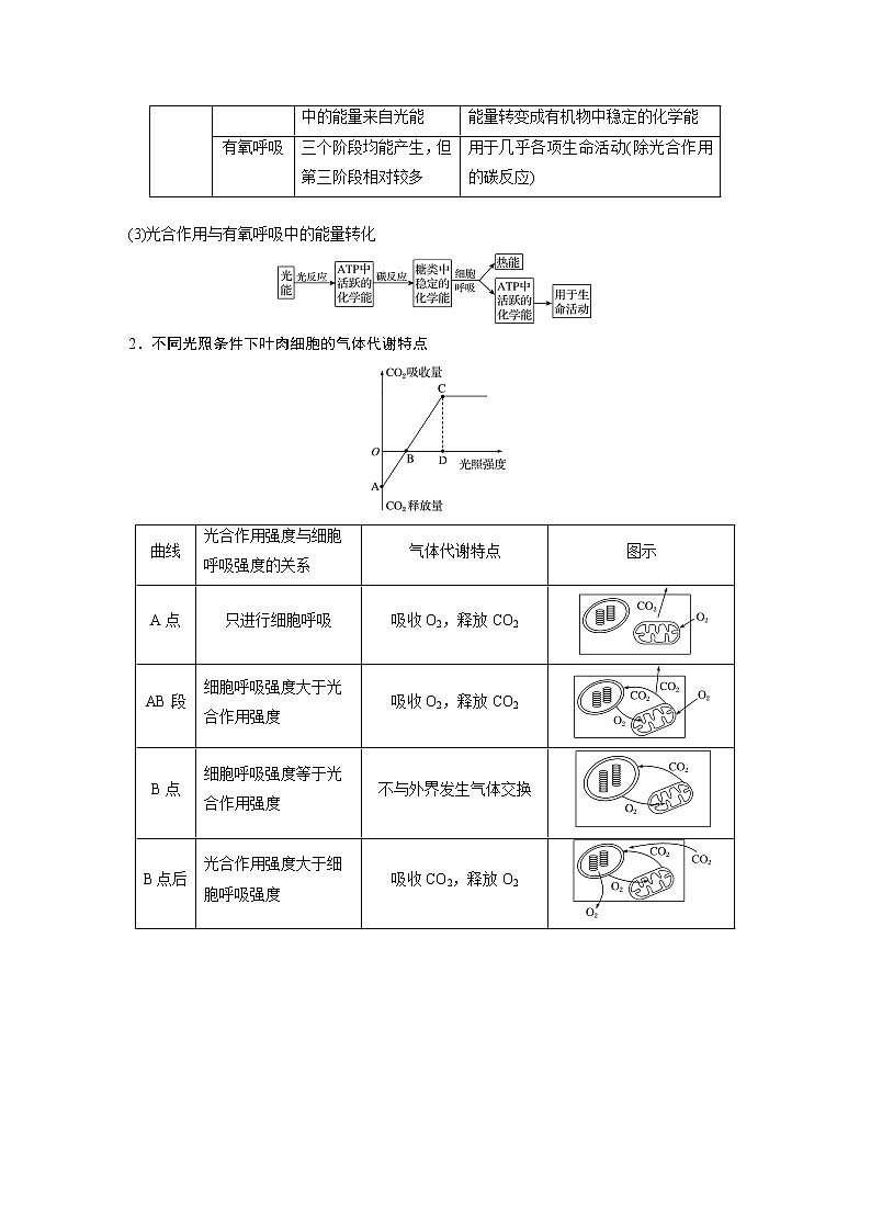 2020版生物新导学大一轮北师大版讲义：第三单元细胞的能量代谢第10讲第2页