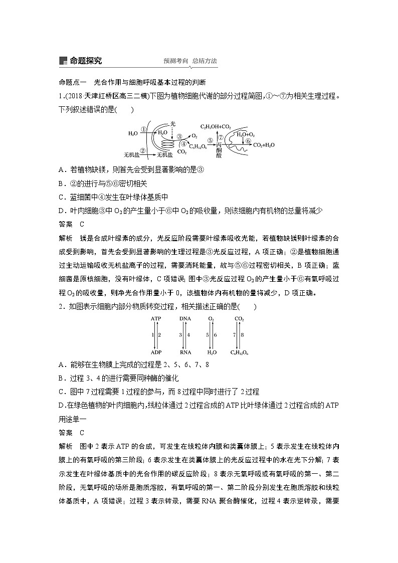 2020版生物新导学大一轮北师大版讲义：第三单元细胞的能量代谢第10讲第3页