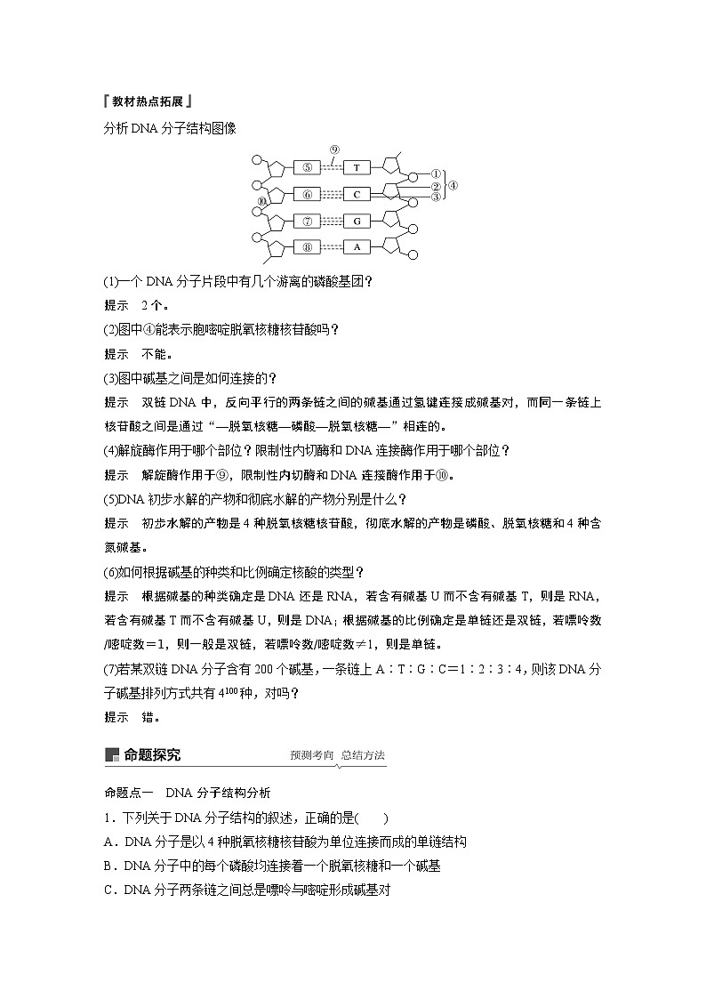 2020版生物新导学大一轮北师大版讲义：第五单元遗传的分子基础第15讲第3页