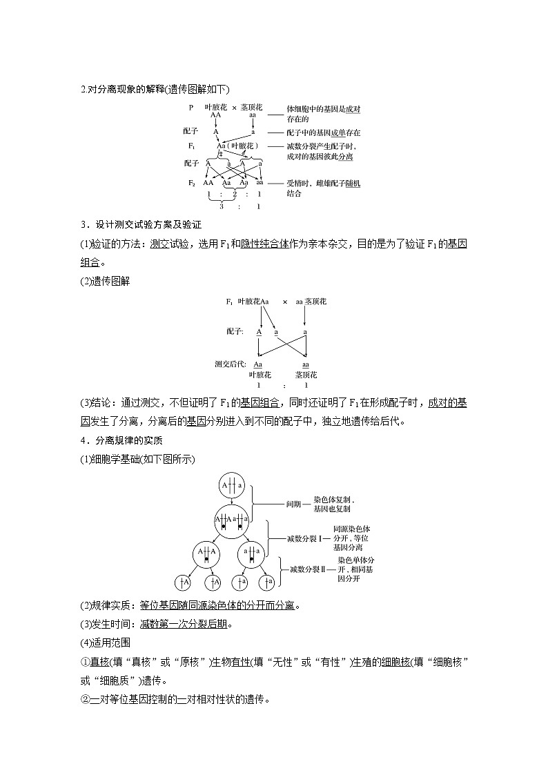 2020版生物新导学大一轮北师大版讲义：第六单元遗传信息的传递规律第17讲第2页