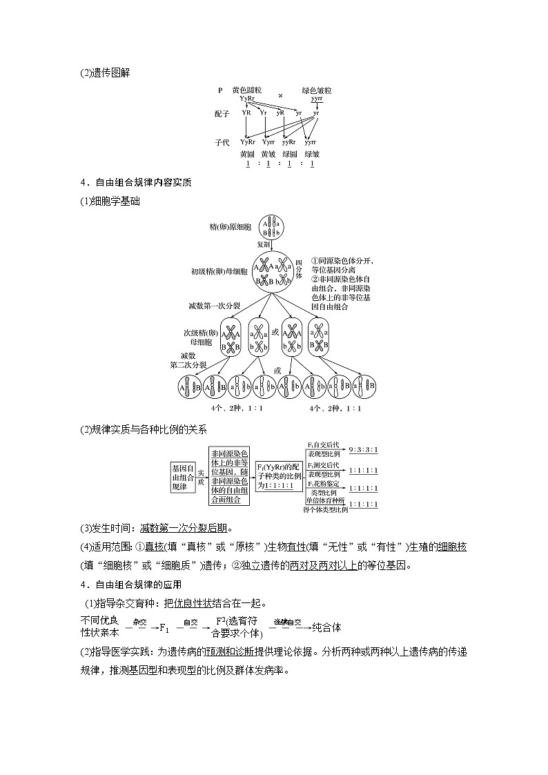 2020版生物新导学大一轮北师大版讲义：第六单元遗传信息的传递规律第18讲第2页