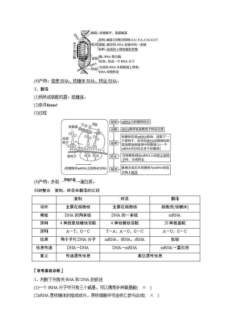 2020版生物新导学大一轮北师大版讲义：第五单元遗传的分子基础第16讲第2页