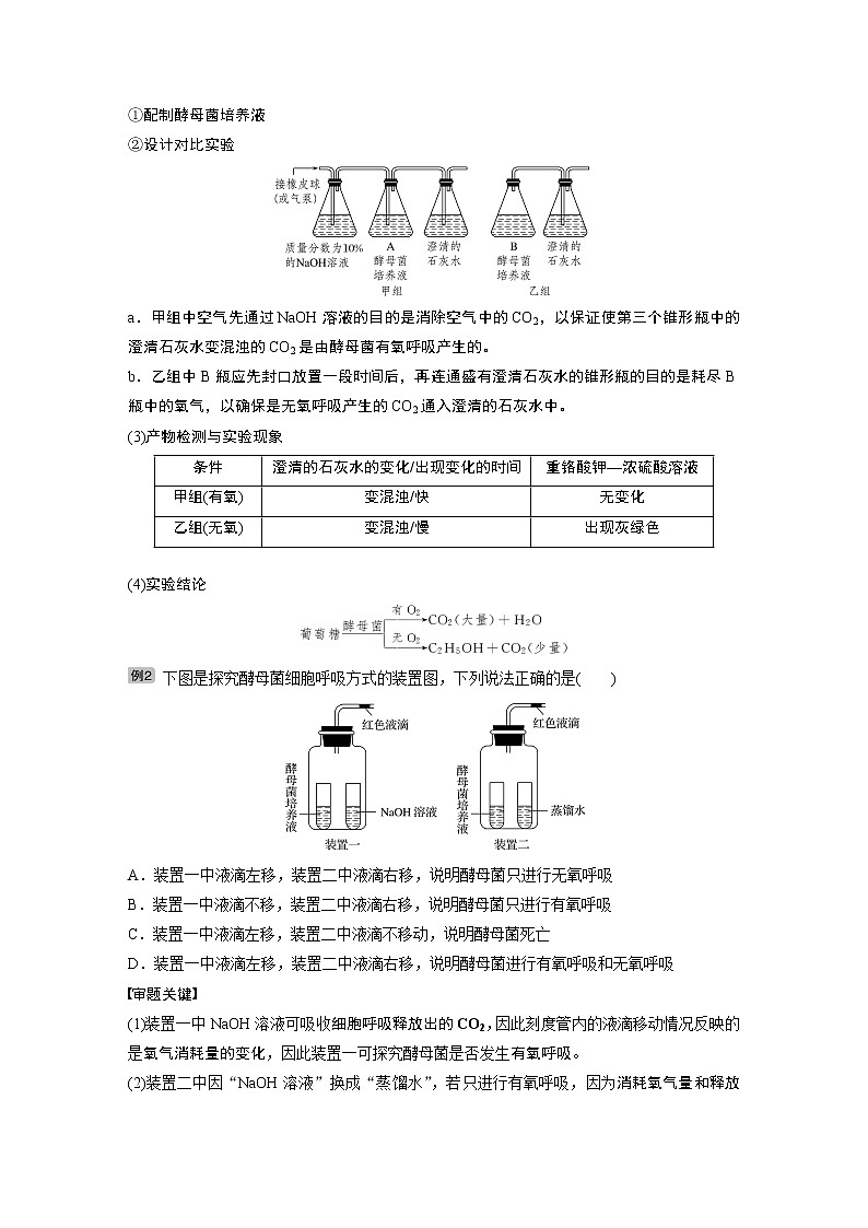 2020版生物新导学大一轮北师大版讲义：第三单元细胞的能量代谢热点题型二第2页