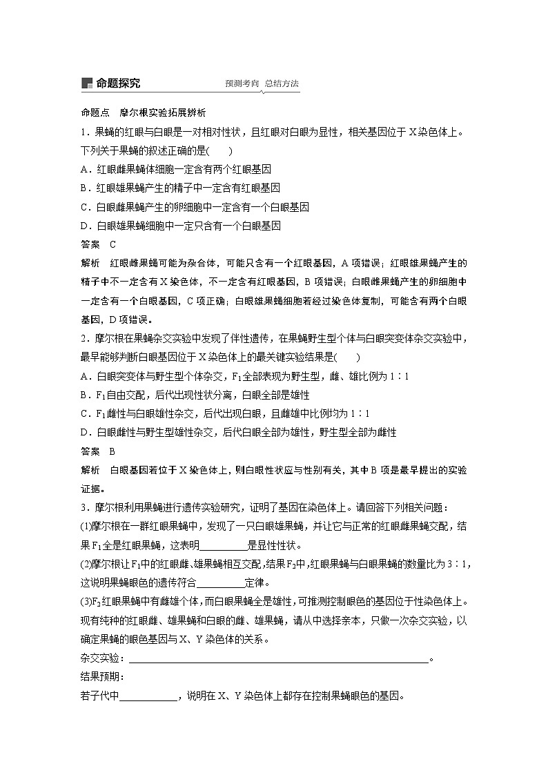 2020版生物新导学大一轮北师大版讲义：第六单元遗传信息的传递规律第19讲第3页