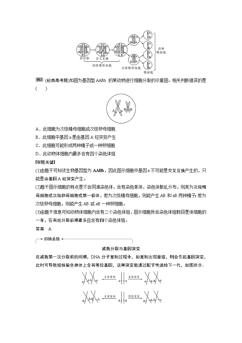 2020版生物新导学大一轮北师大版讲义：第四单元细胞的生命历程热点题型四第2页