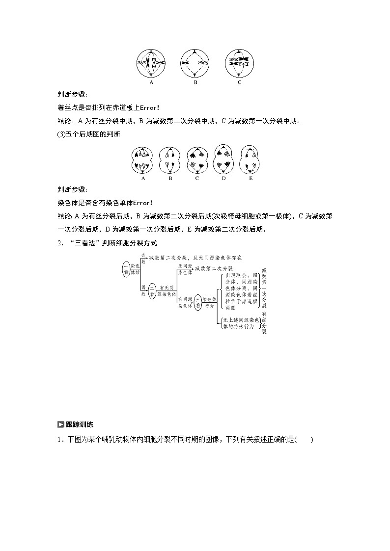 2020版生物新导学大一轮北师大版讲义：第四单元细胞的生命历程热点题型三第2页