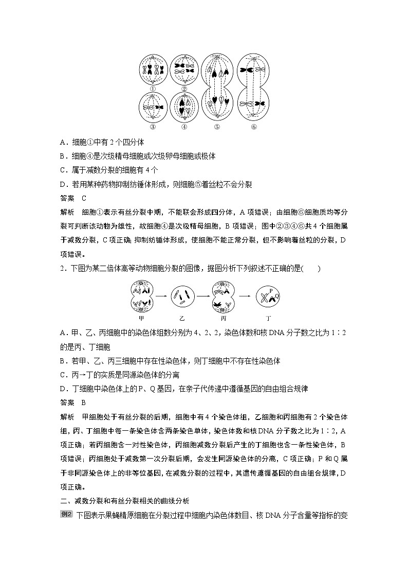 2020版生物新导学大一轮北师大版讲义：第四单元细胞的生命历程热点题型三第3页