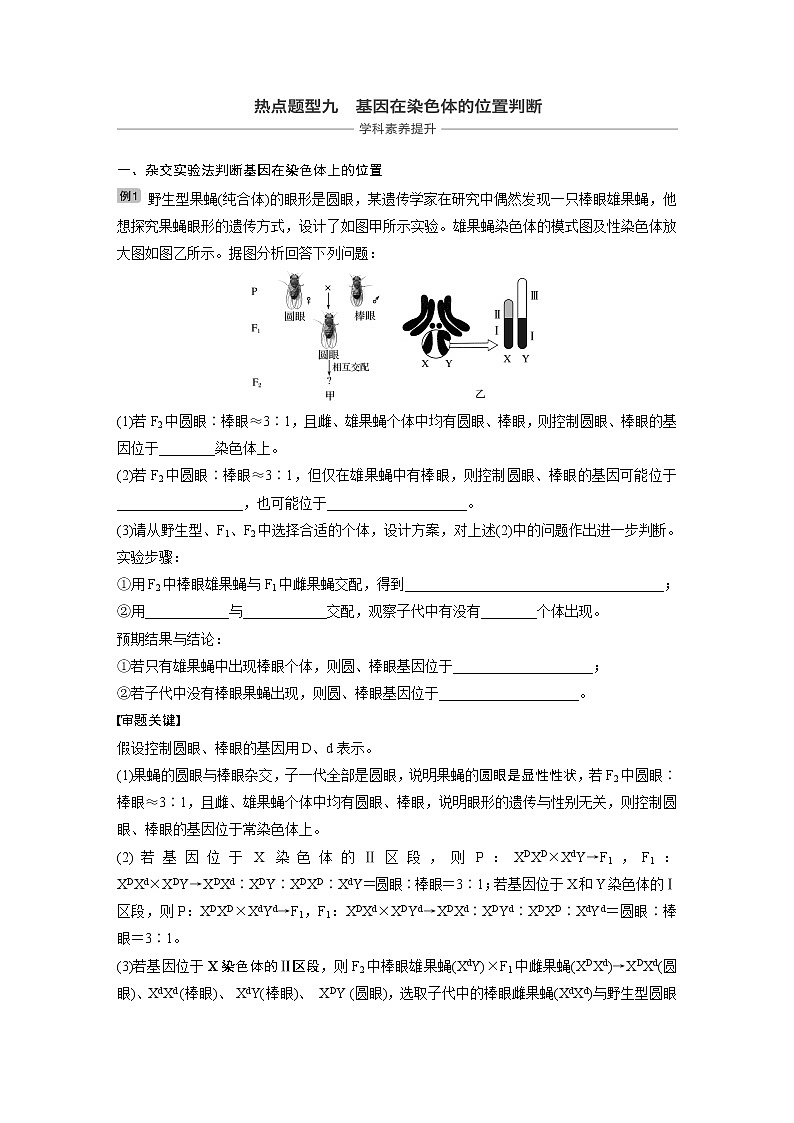 2020版生物新导学大一轮北师大版讲义：第六单元遗传信息的传递规律热点题型九第1页