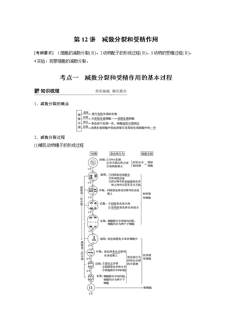 2020版生物新导学大一轮人教通用版讲义：第四单元细胞的生命历程第12讲第1页