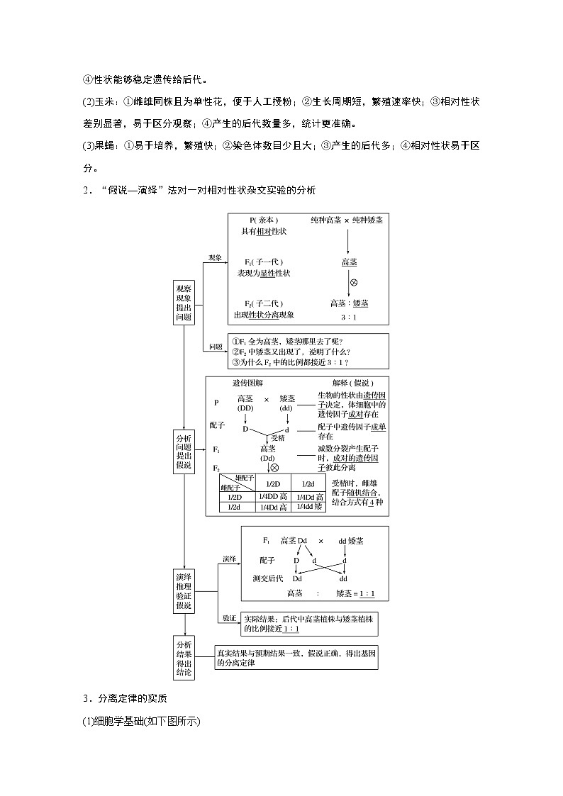 2020版生物新导学大一轮人教通用版讲义：第五单元基因的传递规律第14讲第2页