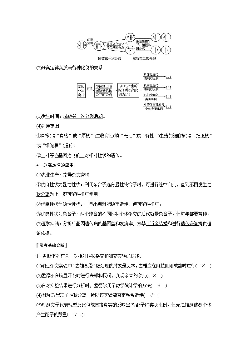 2020版生物新导学大一轮人教通用版讲义：第五单元基因的传递规律第14讲第3页