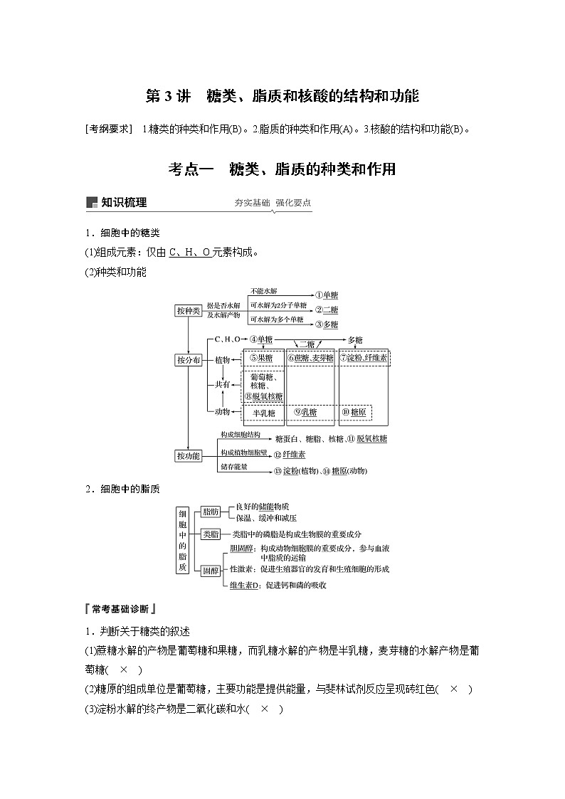 2020版生物新导学大一轮苏教讲义：第一单元细胞的化学组成第3讲第1页