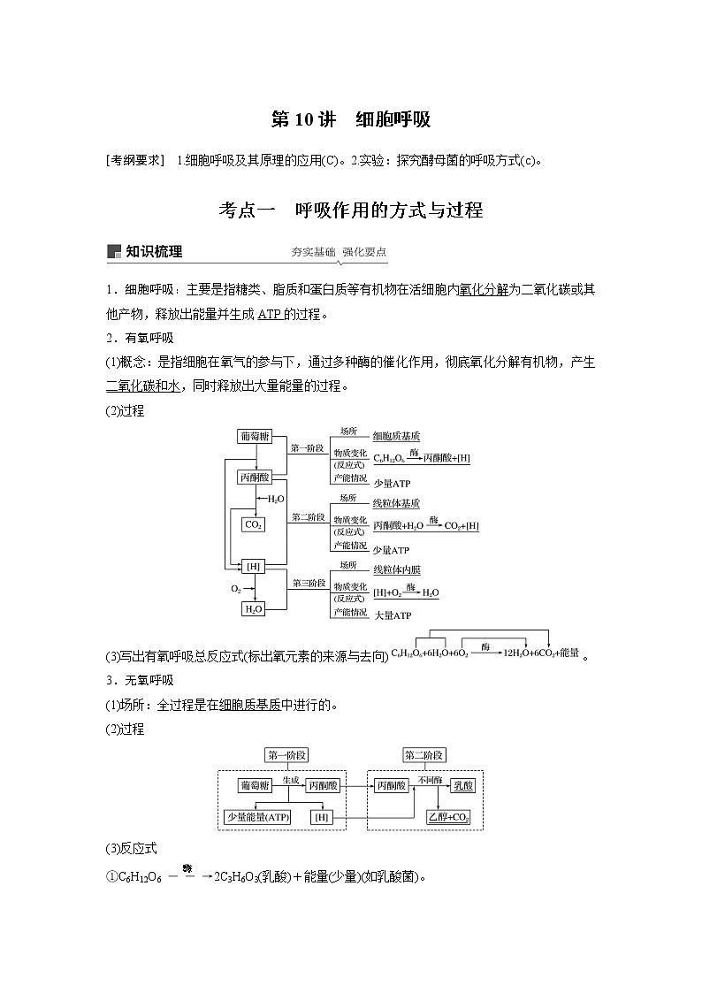 2020版生物新导学大一轮苏教讲义：第三单元光合作用和细胞呼吸第10讲第1页