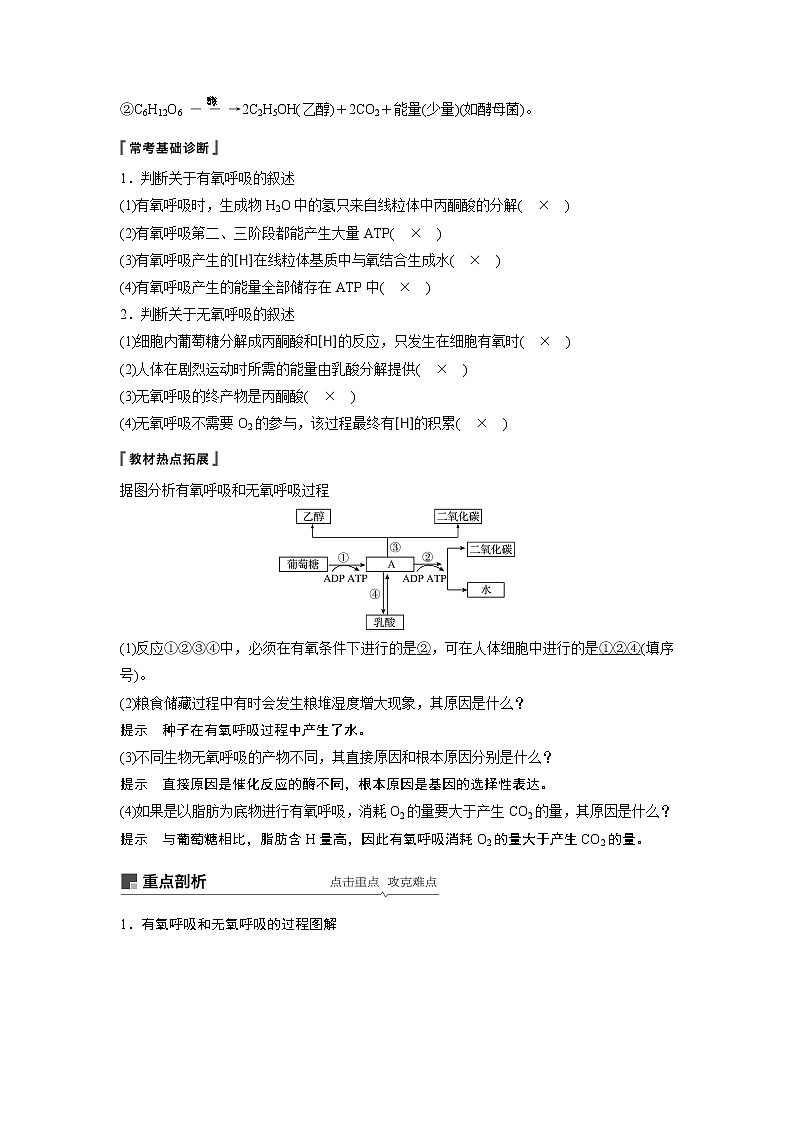2020版生物新导学大一轮苏教讲义：第三单元光合作用和细胞呼吸第10讲第2页