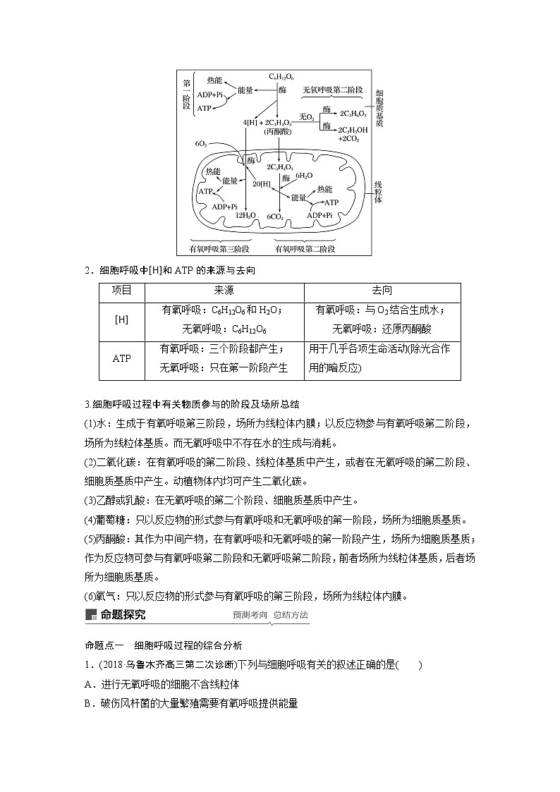 2020版生物新导学大一轮苏教讲义：第三单元光合作用和细胞呼吸第10讲第3页