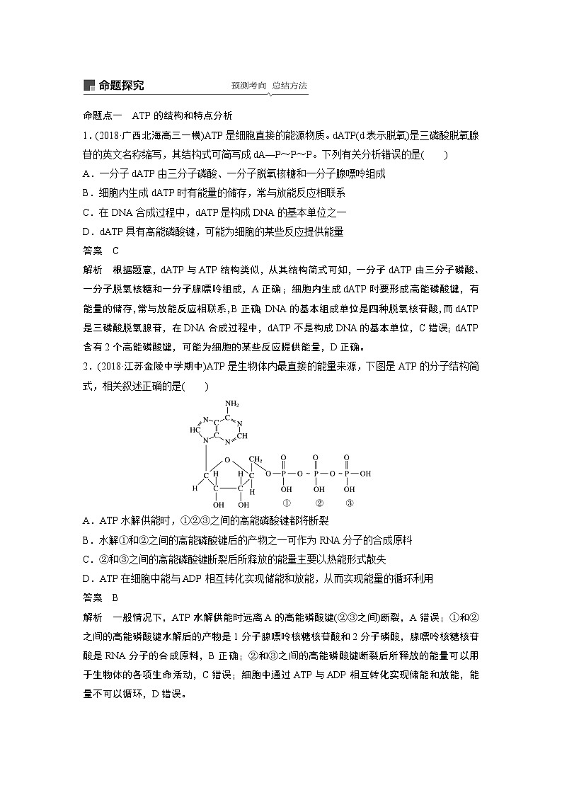2020版生物新导学大一轮苏教讲义：第三单元光合作用和细胞呼吸第8讲第3页