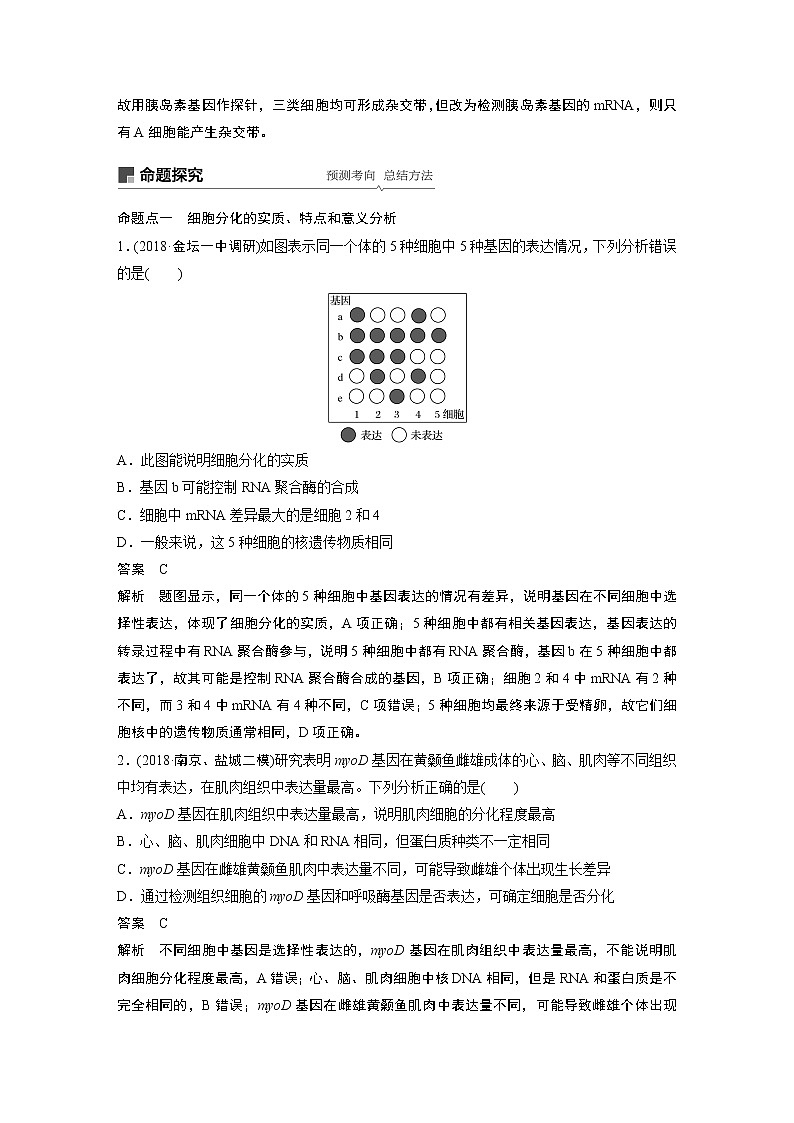2020版生物新导学大一轮苏教讲义：第四单元细胞的生命历程和有性生殖第14讲第3页